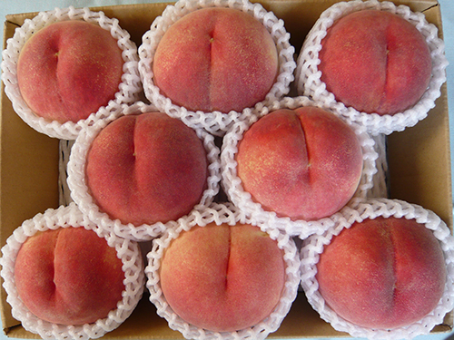 川中島白桃