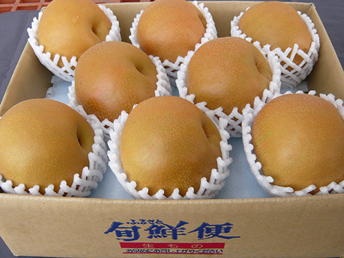 信州の赤梨