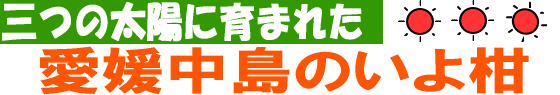 3つの太陽に育まれた愛媛中島のいよ柑