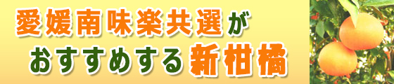 新品種「せとか」「甘平（かんぺい）」 | 有限会社旬鮮連