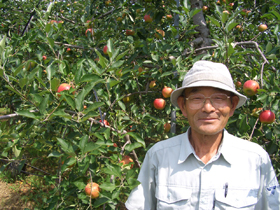 夏明（なつあかり）の生産者、須坂市の小口さん
