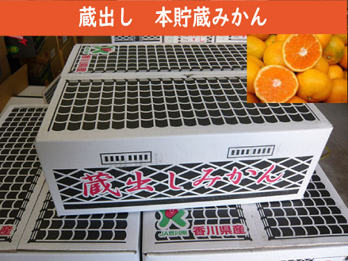 味楽共選のみかん