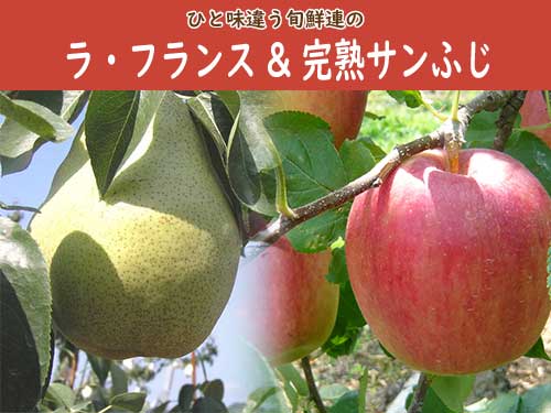 ラ・フランス＆完熟サンふじ